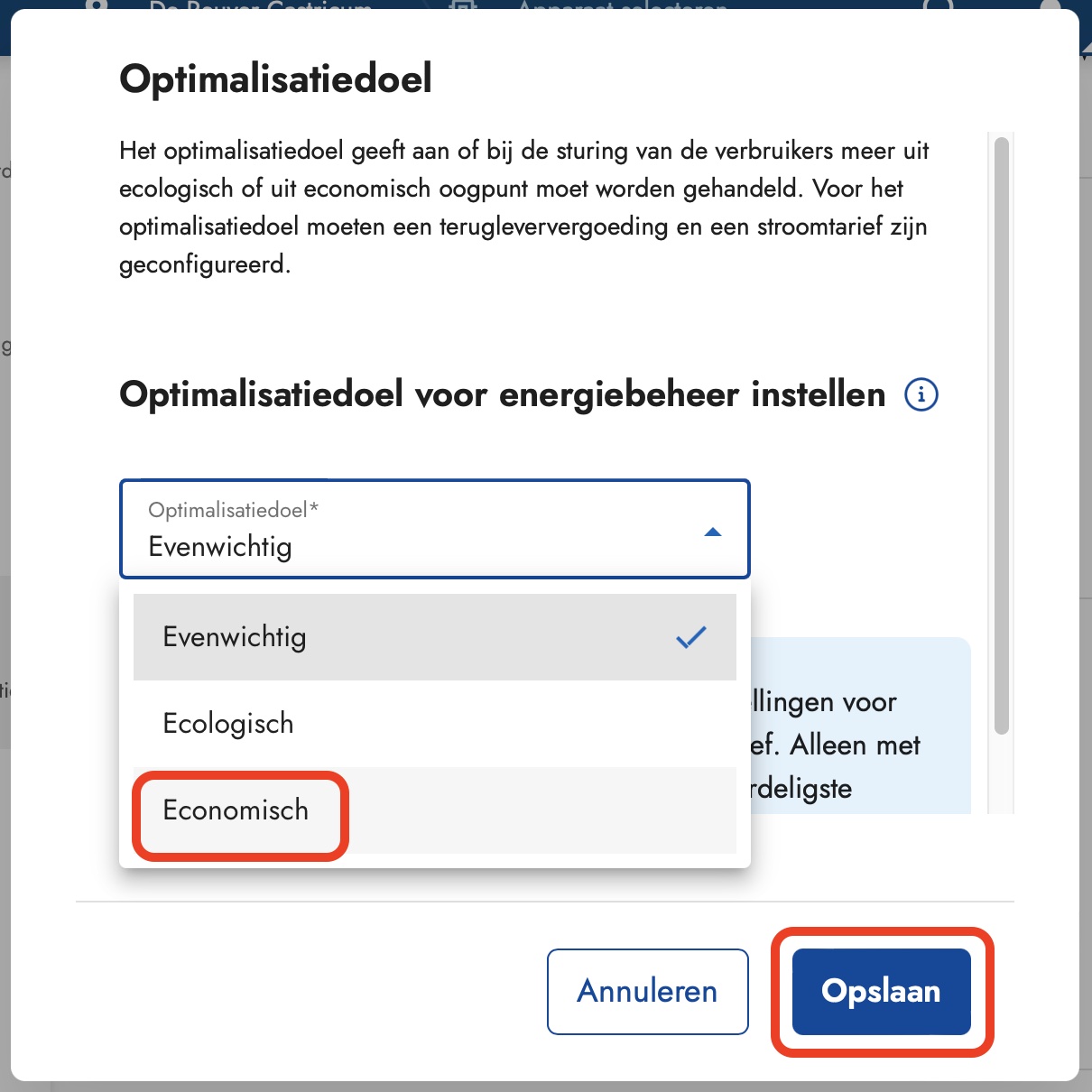 optimalisatie economisch